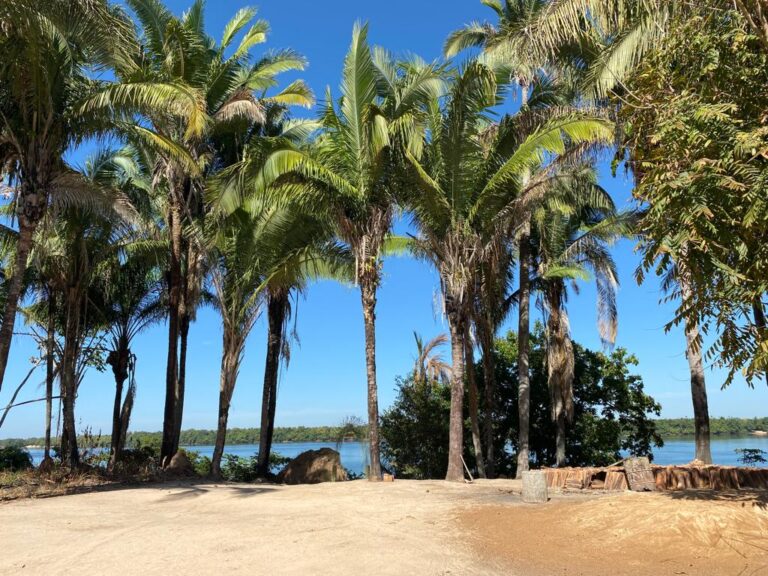 Comunidade quilombola Ilha de São Vicente, em Araguatins (TO), aguarda conclusão de processo de regularização territorial; conheça a história do quilombo