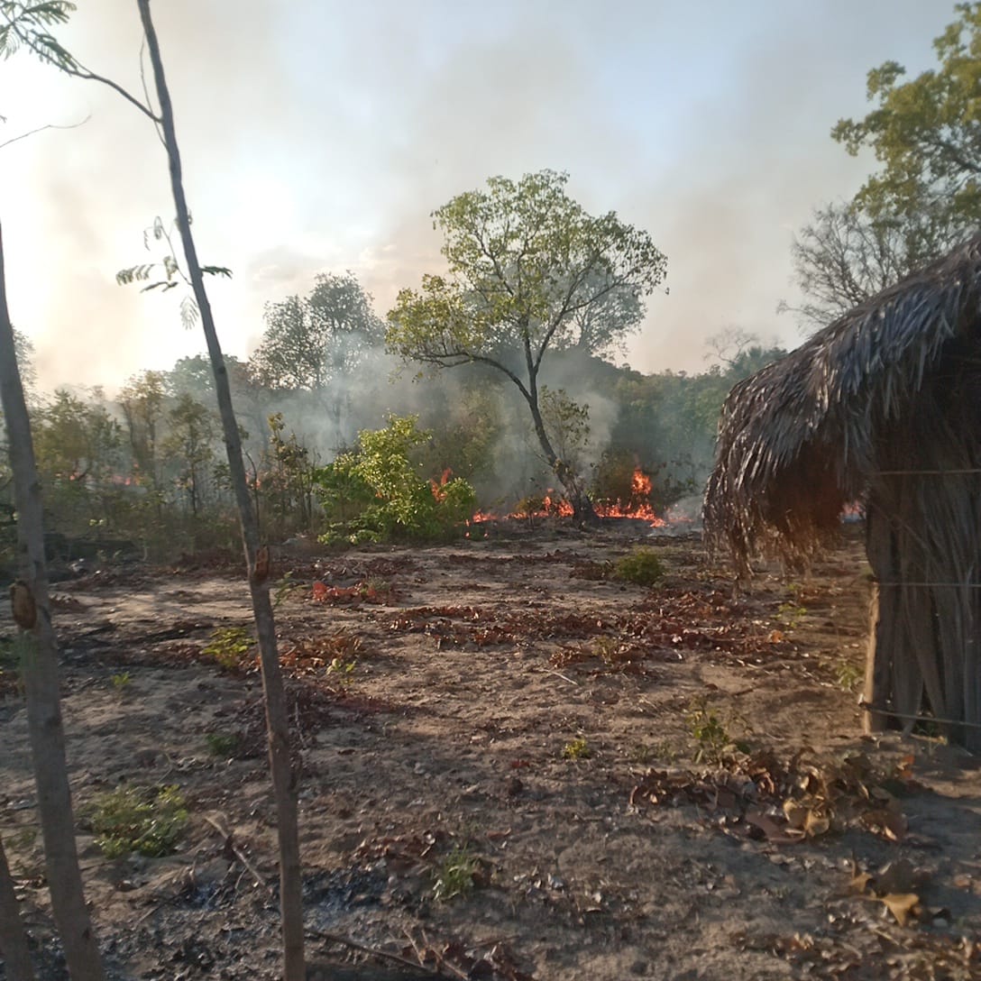 Nota de Repúdio sobre ataques contra o Território Quilombola Rio Preto em Lagoa do Tocantins